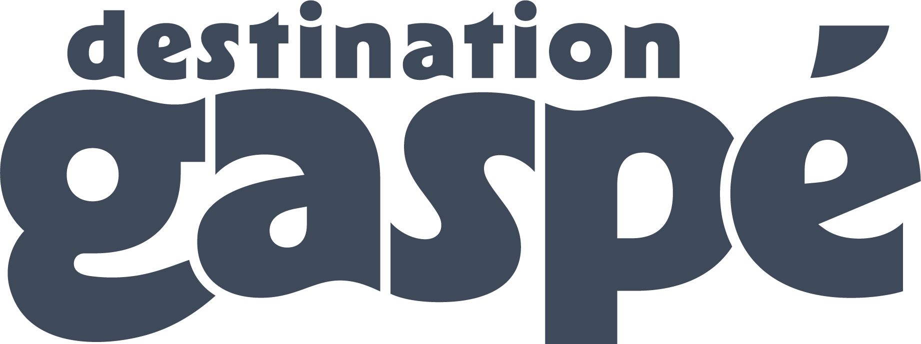 dg_etendu_couleur_rvb