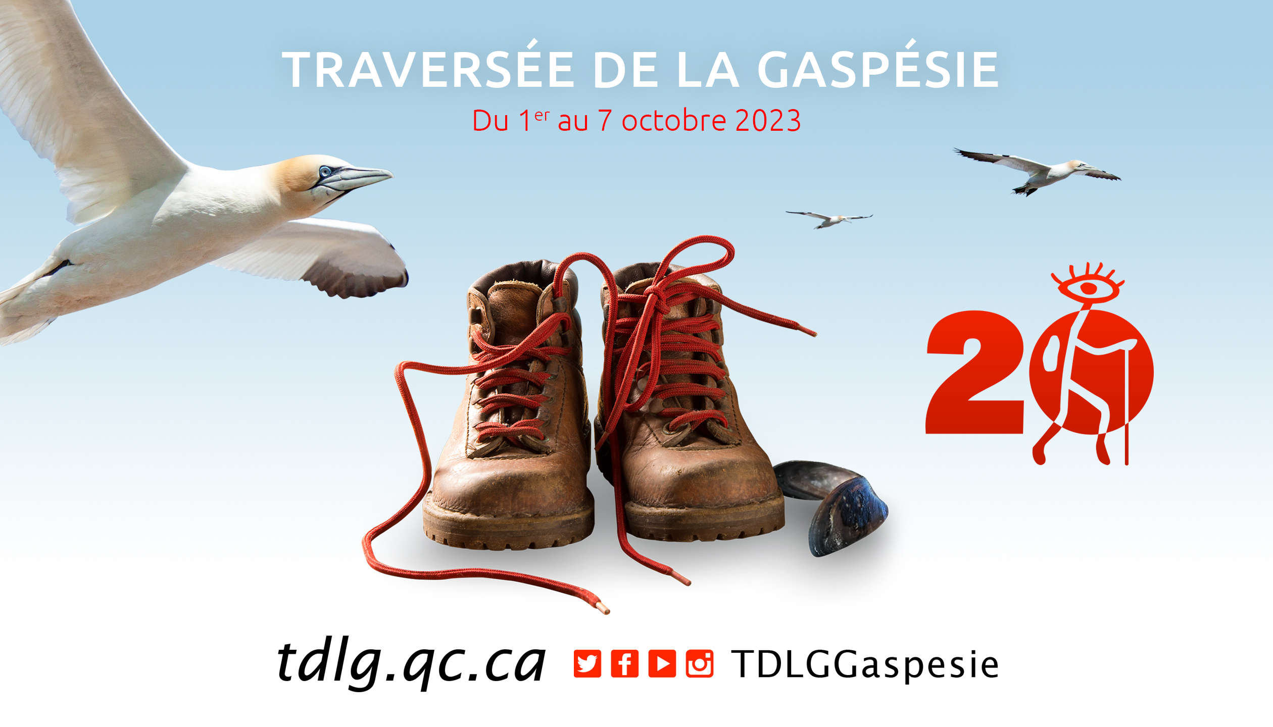 TDLG f2ee6