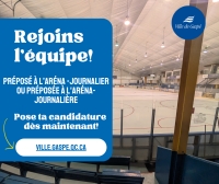 PRÉPOSÉ À L’ARÉNA-JOURNALIER OU PRÉPOSÉE À L'ARÉNA-JOURNALIÈRE