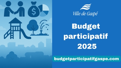 Vote public : 4 projets en lice pour le budget participatif 2025