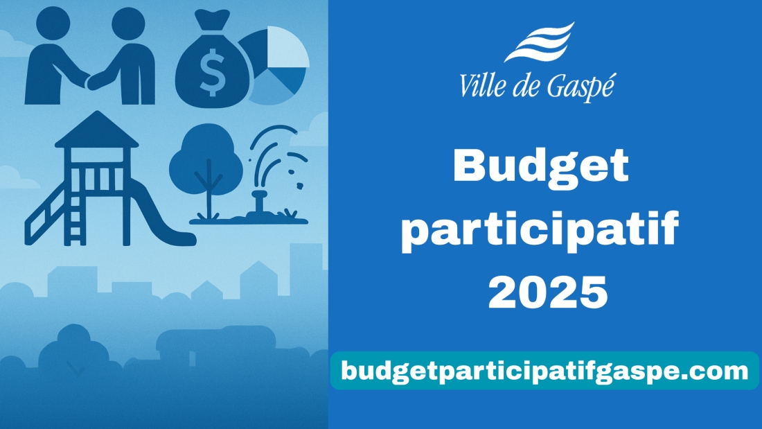 Vote public : 4 projets en lice pour le budget participatif 2025