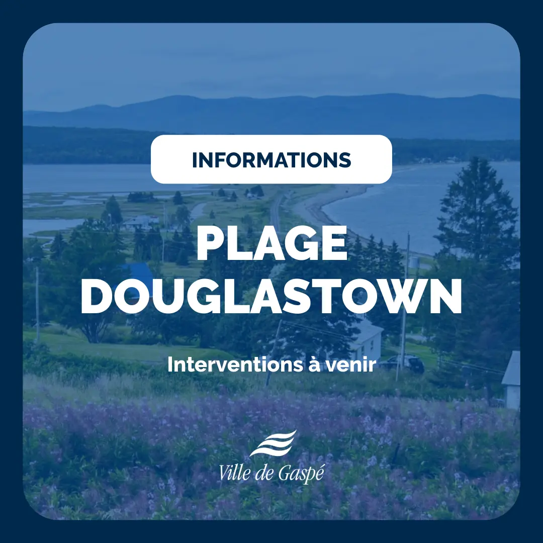 Plage de Douglastown